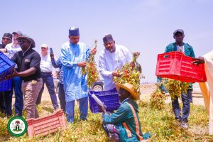 Emphasizes Need for Support to Enhance Local Production and Competitiveness