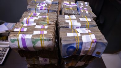 Nigerian banks government lending