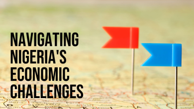 Navigating Nigeria economic challenges 2025
