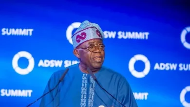 Tinubu’s economic reforms attractng investors across the globe, says TDF