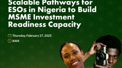 Nigeria MSME digital platform ESOs