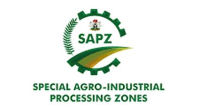 Kwara SAPZ project agro-industrialization