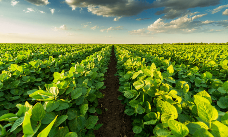 Agribusiness