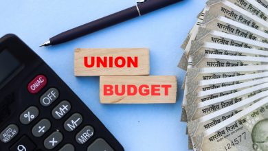 Nigeria 2025 budget business growth