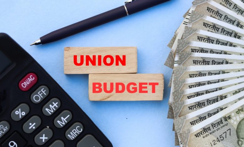 Nigeria 2025 budget business growth