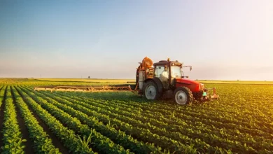 Modern Farming: Key to Nigeria's Food Self-Sufficiency