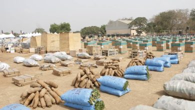 Nigeria food security reforms success