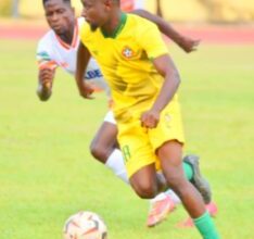 NPFL
