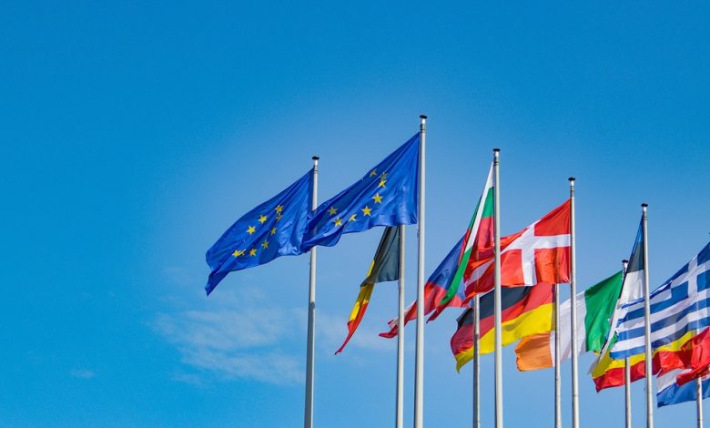 EU deportation rules business impact
