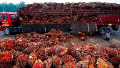 Malaysia Nigeria palm oil trade