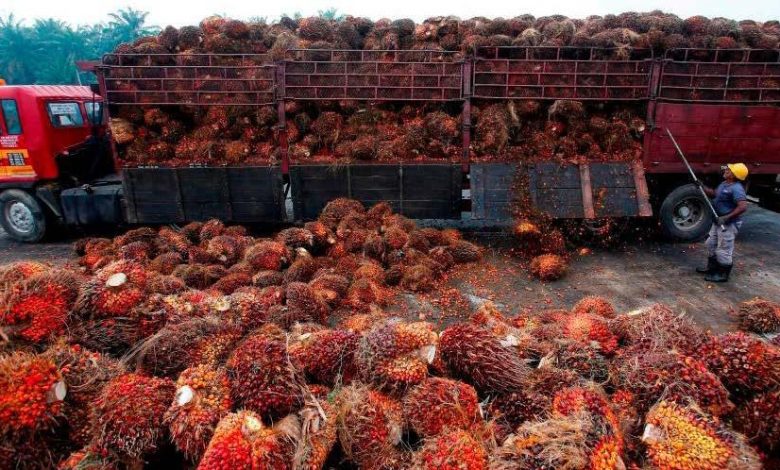 Malaysia Nigeria palm oil trade