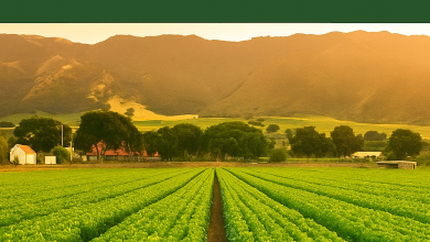 Nigerian land law agribusiness
