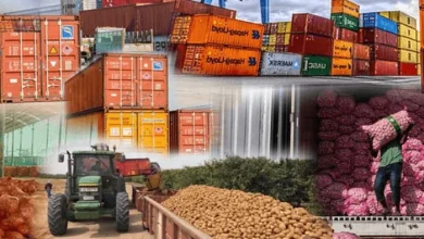 Nigeria export compliance mistakes