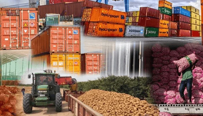 Nigeria export compliance mistakes