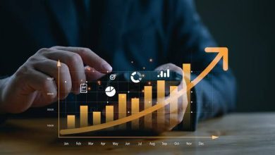 5 Levels of Entrepreneurship