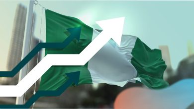 Nigeria Economy in 2025