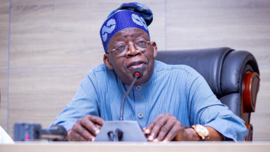 2025 budget implementation report