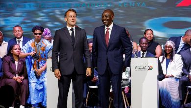 France-Africa Partnership