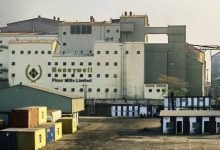 Honeywell Flour Mills pre-tax profit FY 2026