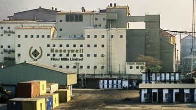 Honeywell Flour Mills pre-tax profit FY 2026