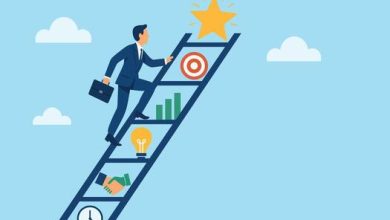 Business Growth Ladder