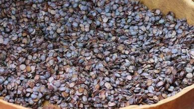 Locust Beans for Heart