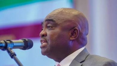 ICRC backs PPPs for minerals sector