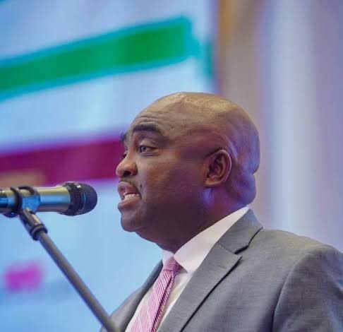 ICRC backs PPPs for minerals sector