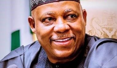 Shettima urges Africa to process minerals