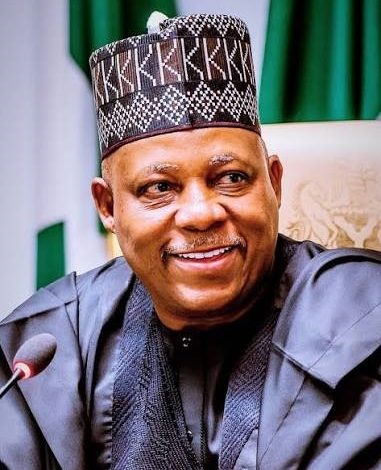 Shettima urges Africa to process minerals