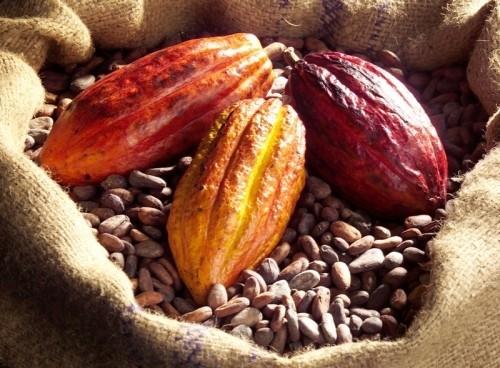 Cocoa farmer in court over alleged N3.9m fraud