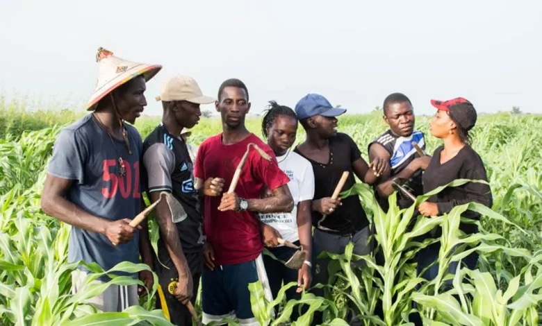 FG unveils youth farming initiative