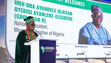 Insecurity regulatory conflicts threaten mining growth